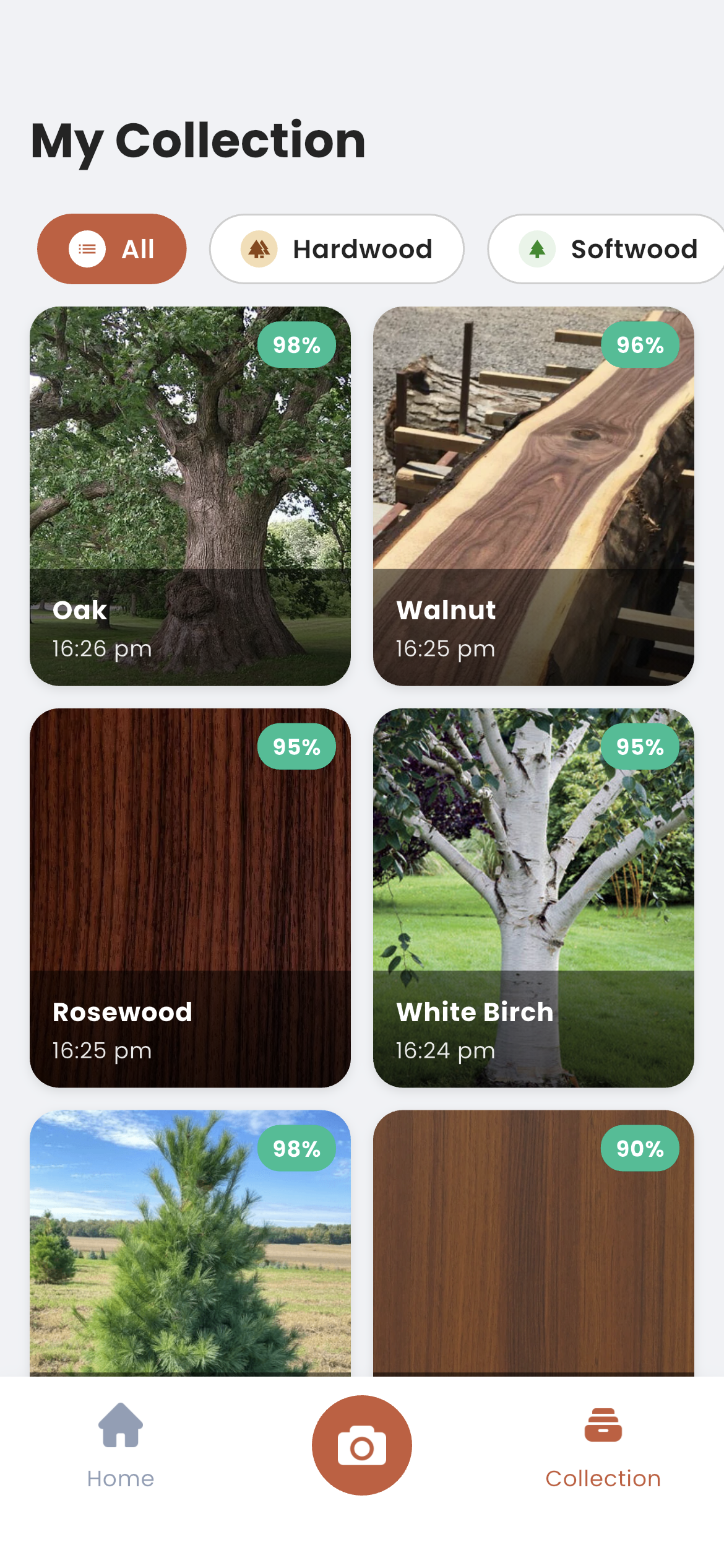 Building personal timber library